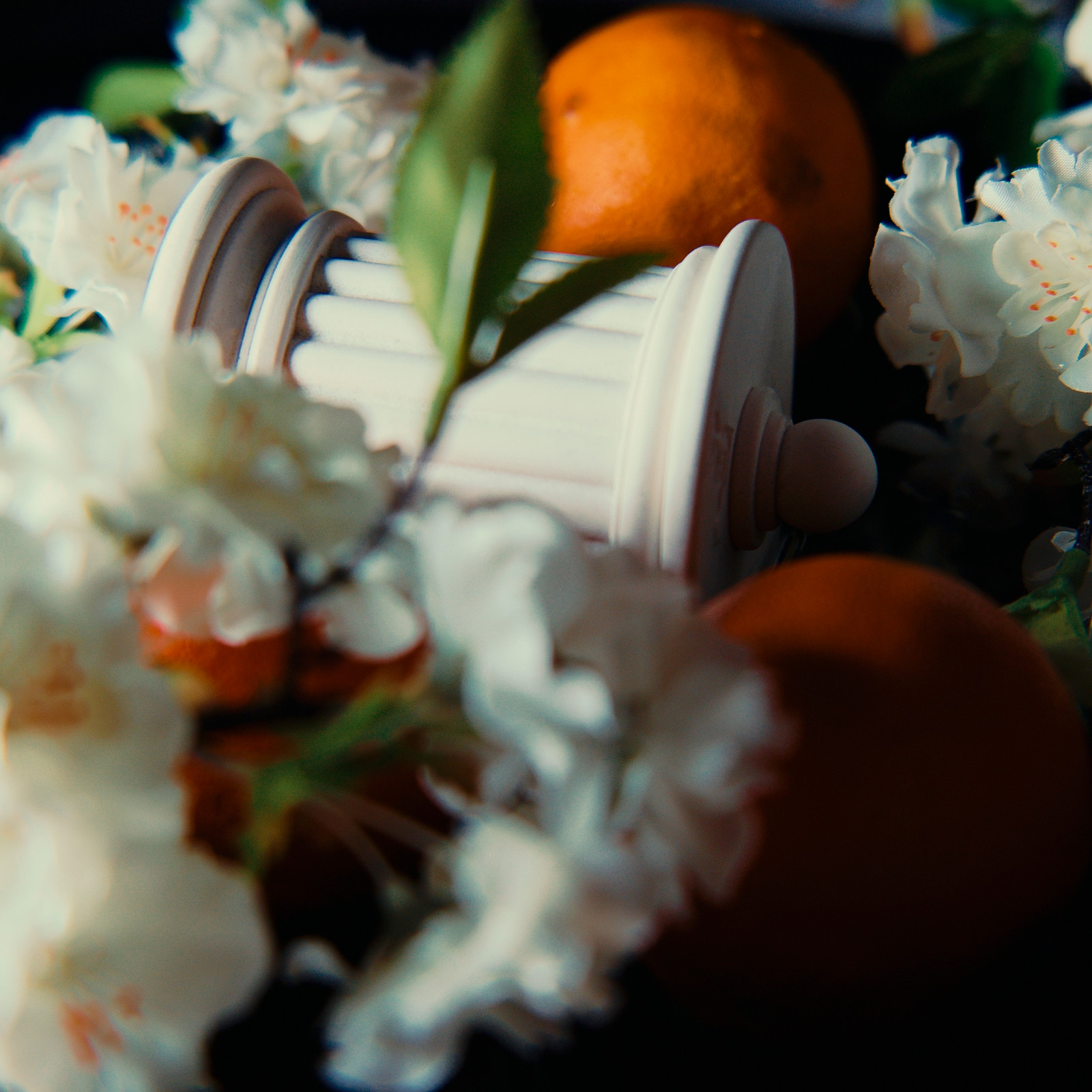 L’univers floral et lumineux de la bougie Éos